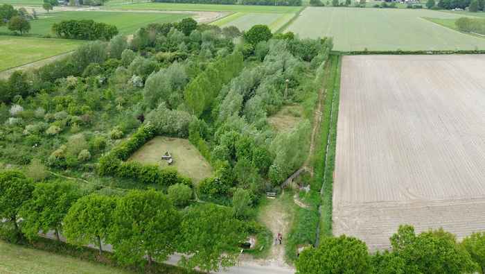 Image of food forest